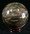 Colorful Petrified Wood Sphere #29009-2